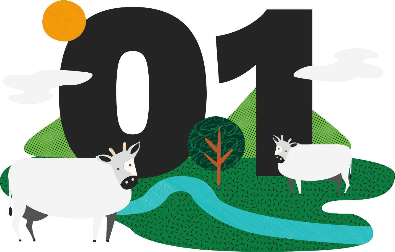 Proposal Illustration