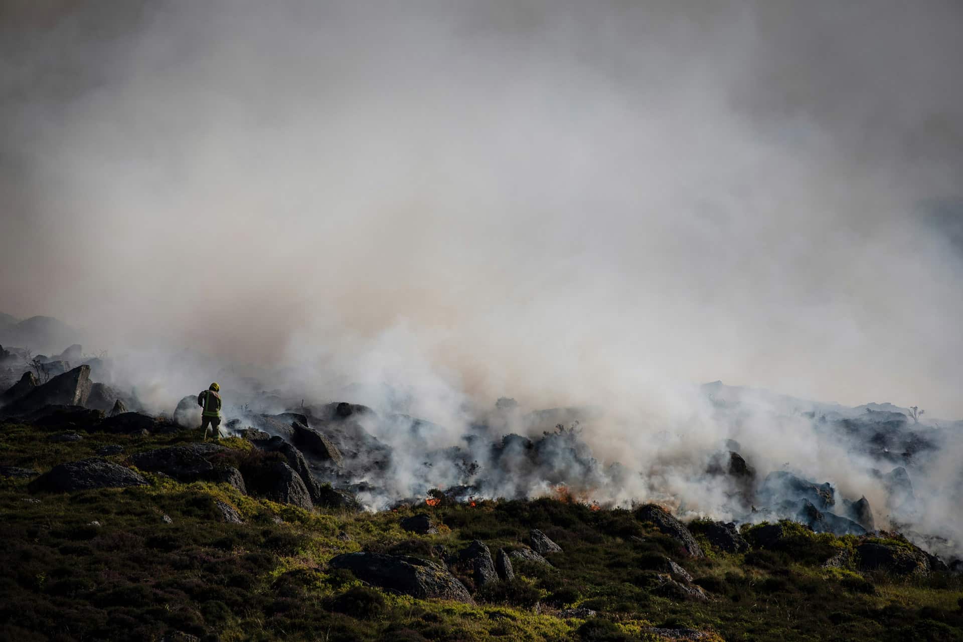 Wildfires