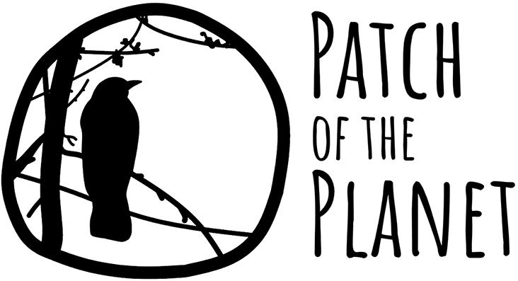 Patch Of The Planet